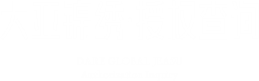 大亚锦绣·授权查询